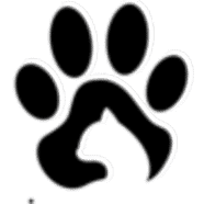 gizmocaa kullanıcısının profil fotoğrafı